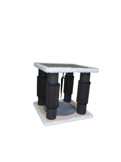 Säule